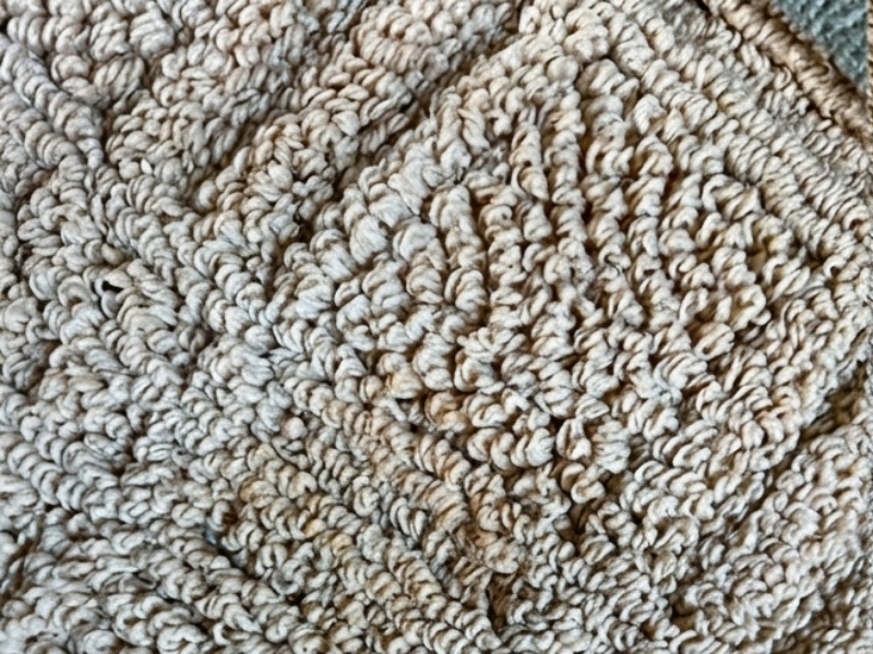 Rug Cleaning