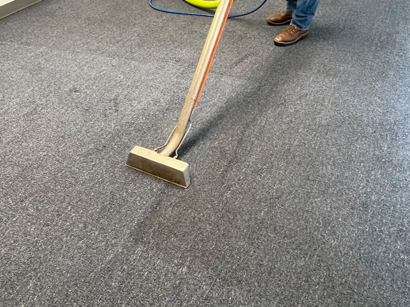 Carpet Cleaning